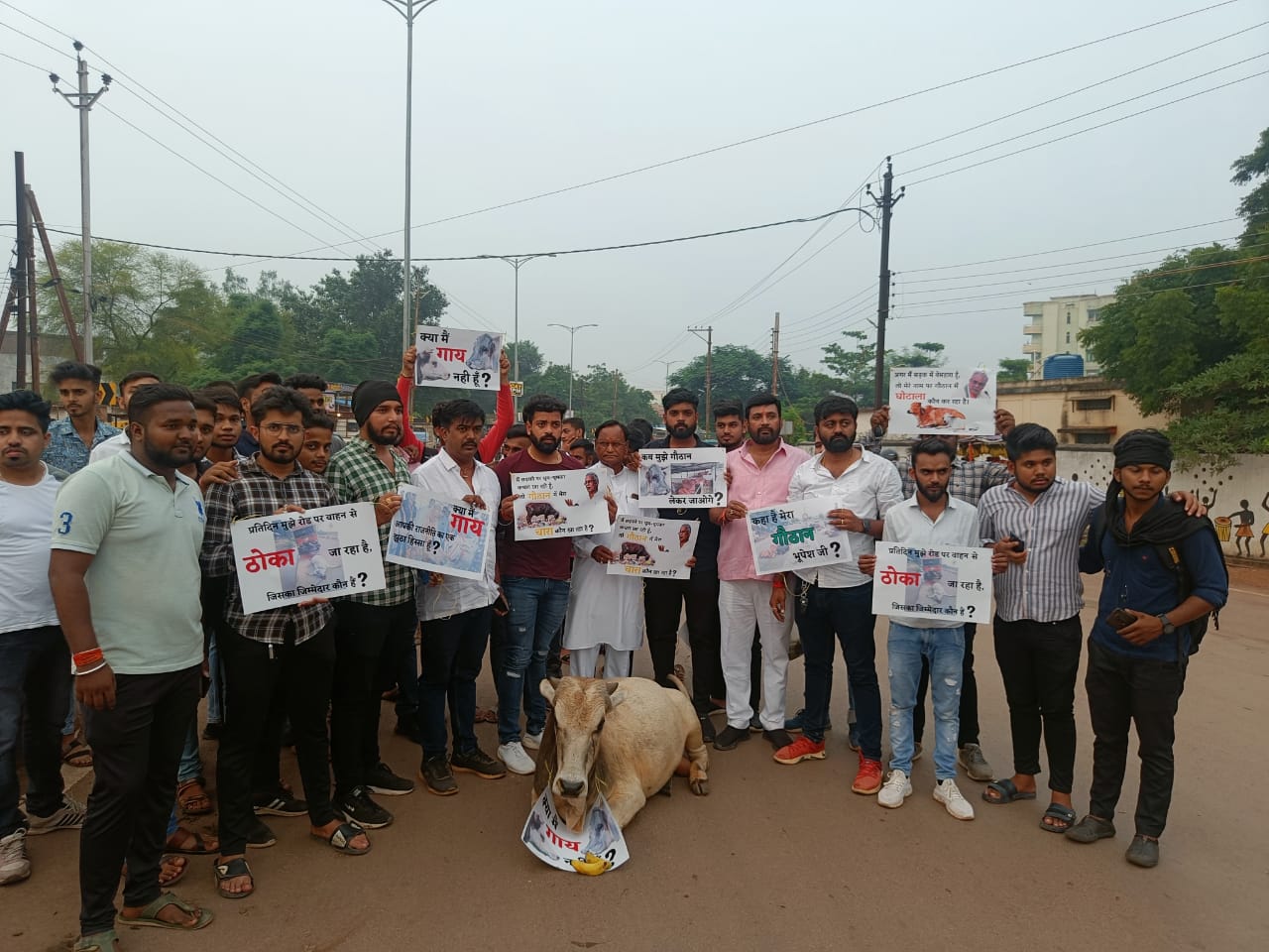 भाजयुमो द्वारा किया गया अनोखा प्रदर्शन ; मैं गाय नहीं हूं?