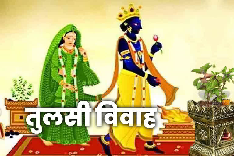 Tulsi Vivah 2022: देवउठनी एकादशी और तुलसी विवाह की डेट को लेकर है कन्फ्यूजन, यहां जानें सही डेट और शुभ मुहूर्त