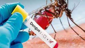 Dengue cases in Varanasi: बनारस में डेंगू का कहर, मरीजों की संख्या 244 पहुंची, प्लेटलेट्स की मांग बढ़ी