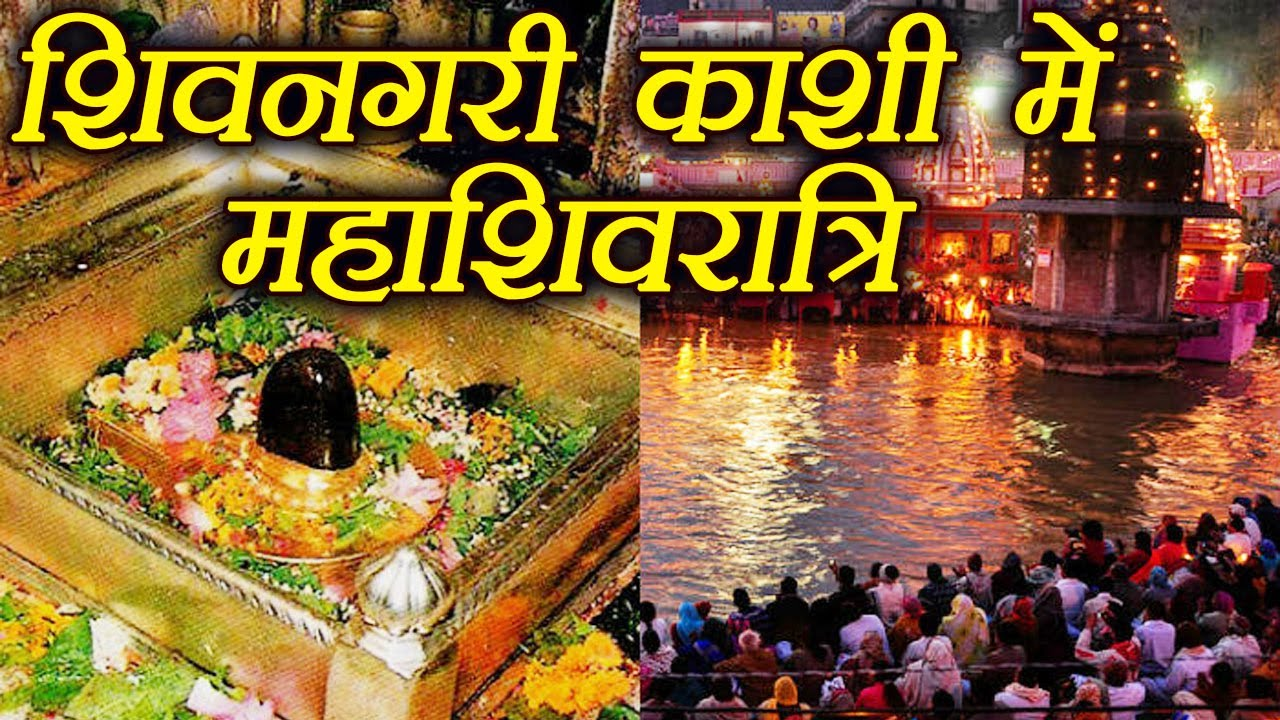 महाशिवरात्रि 2023: काशी विश्वनाथ में नहीं होंगे VIP दर्शन, श्रद्धालुओं के लिए रेड कार्पेट, कब खुलेंगे कपाट ?